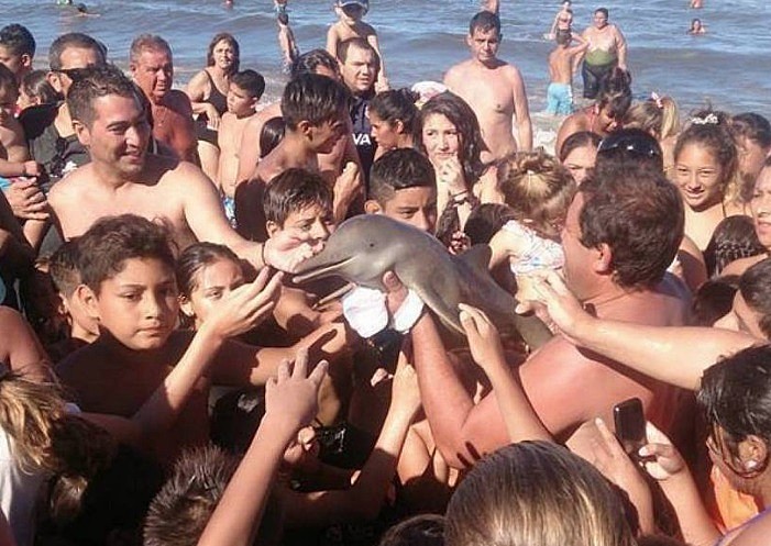 Foto: Reprodução Facebook