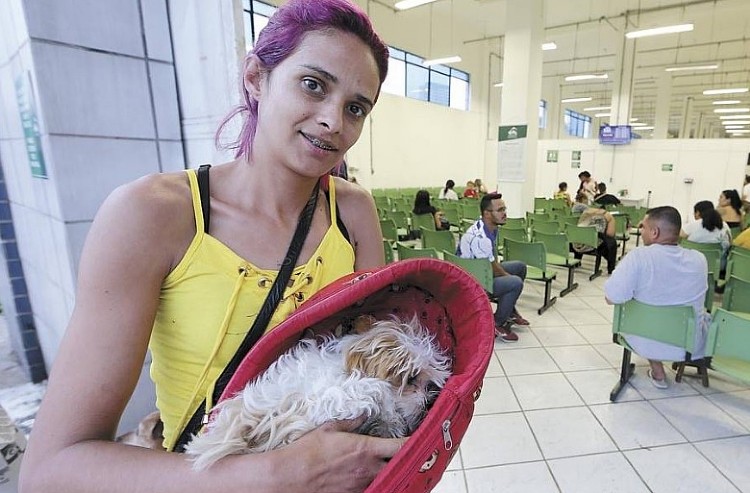 Elisa levou a lhasa apso Sofia para o hospital - andré porto/metro