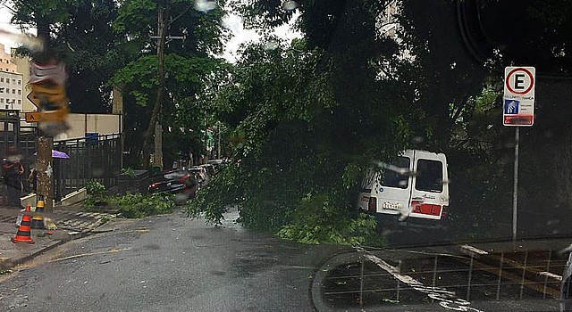 Árvore caída sobre a rua Almirante Marques Leão, na Bela Vista | Reprodução/Twitter BandNews FM