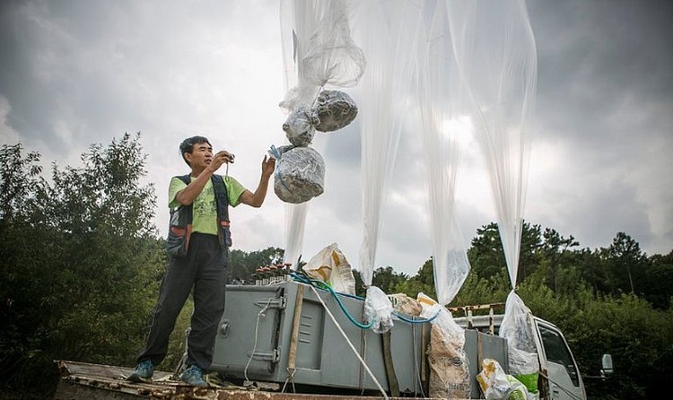 Jung é o fundador de um grupo chamado 