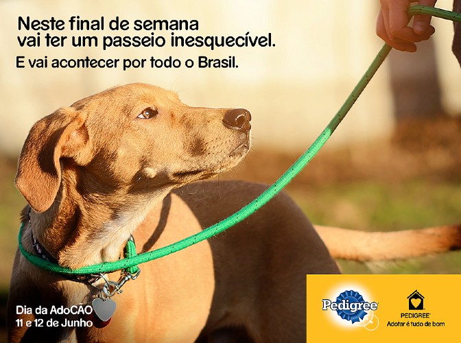 Foto: Divulgação Pedigree.