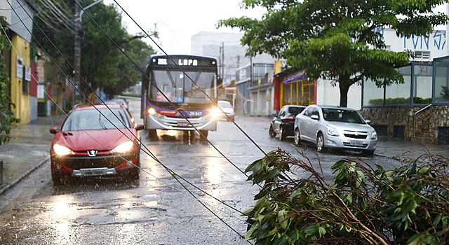 Na Lapa, árvore derrubou fiação elétrica | Paulo Ermantino/Raw Image/Folhapress