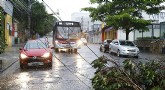 Na Lapa, árvore derrubou fiação elétrica | Paulo Ermantino/Raw Image/Folhapress